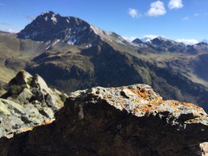 IMG_0104
